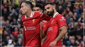 قرار كلوب الحاسم؟.. التشكيل المتوقع لمباراة ليفربول وأتليتكو مدريد في دوري أبطال أوروبا 1